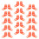 30Pz Scatole Plastiche Protettive Per Celle Api 11