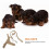 1Conjunto Peitoral E Nylon Caqui Para Cães De Médio Porte 7