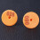 100Pz Ear Tags Arancioni Per , E Resistente 5