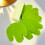 6PCS Flexible Coasters Cup Mats Dining Decors Cactus-White 6