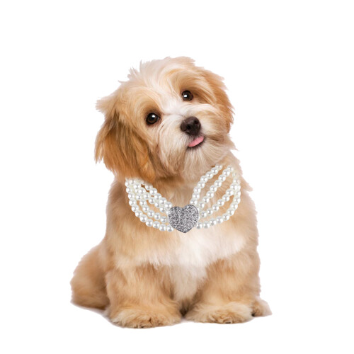 Colarpet50pérolas Artificial Para Cachorro Com Pingente 2