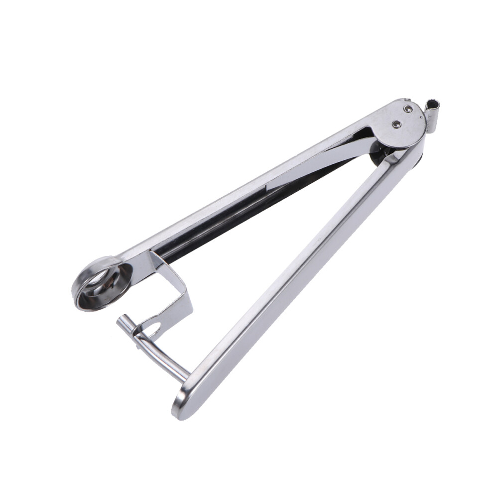 Srebrny Remover CzereśNi I OwocóW Stalowy Do-image