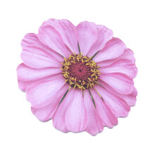 Bloc-notes auto-adhésif, 25 feuilles, bloc-notes amovible,-rose.