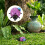 Hide A Key Outdoor Impermeável Escondedor De Chaves 10