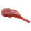 Fake Fresh Meat: In Per E Decorazione 1