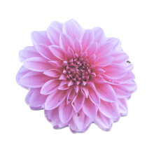 Removable Stick Note Pad Auto-Adhesive Stick Note-Purple red
