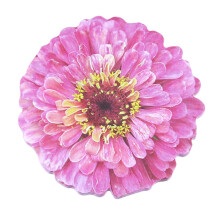 Memo Note Writing Pad Auto-Adhesive Diary Page-Rose Red