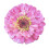 Memo Note Writing Pad Auto-Adhesive Diary Page-Rose Red 1