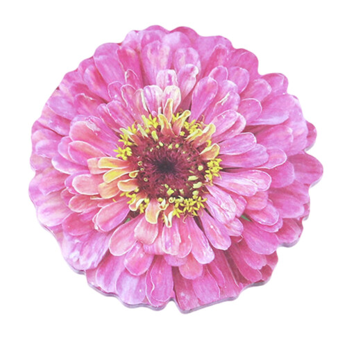Memo Note Writing Pad Auto-Adhesive Diary Page-Rose Red