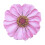 25 Blatt selbstklebender Haftnotizblock, Blumenform,-Rosa. 1