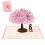 3D Card, Pink Cherry Blossom Pop Up 3D Card with Envelope 1
