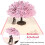 3D Card, Pink Cherry Blossom Pop Up 3D Card with Envelope 4