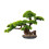 Artificial bonsai tree, desktop artificial plants for indoor bookshelf, office desk 1