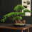 Artificial bonsai tree, desktop artificial plants for indoor bookshelf, office desk 5