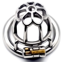 Pennis Cage Stainless Steel Chastity Cage With Lock For Men 45mm Chastity Belt Hidden Design No Collision