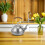 Thee Kettle Op Het Forneuis: Camping Rvs 2 L Waterkoker Met 5