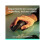 Logitech Maus - LOGITECH - MX Master 3S - 8000 DPI - Leise - Ergonomisch 2