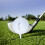 12 Teile/schachtel Golf Bälle Driving Range Praxis 12