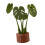 Innovative Magnetic Cup Mat Set Plant Coaster Kitchen Office-1 1