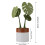 Innovative Magnetic Cup Mat Set Plant Coaster Kitchen Office-1 2