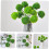 artificial leaf balls topiary plants for office and home decorations 5