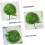 2 x Artificial Plants Topiary Balls for Home and Office 2