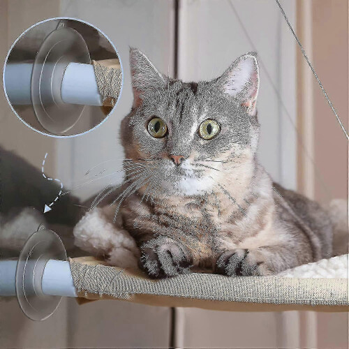 8 Pcs Suction Cups Cat Window Perch Cat Window Hammock Replacement Suction Cup for Kitty Cat Window p 2