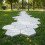Pathway Molds Maple Leaves Concrete Manually Plastic Stepping 7