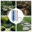 Rain gauge for garden, water indicator, adjustable height, large clear numbers 3