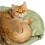 Lit d'abri chaud lavable en machine de lit de chats de nid-Noir 3