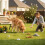 10pcs Aluminum Dog Scent Training Can With Durability Design for 4