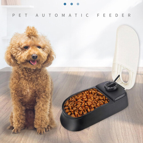 Automatic Cat Feeder for Small Pets, Timed Auto Pet Feeder, Programmable for Busy Owners 1