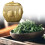 Brass Teas Container Decorative Brass Teas Storage Jar Suitable 4