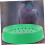 Nest Bowls 5Piece Set  Plastic Nesting Bowls for Breeding and Hatching, Egg Nesting Supplies 3