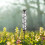 Rainwater meter for the garden with metal frame Ref: 2794 2