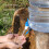 Compacte wateremmer met brede mond, inclusief-18,9 liter wit 6