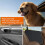 Car Door Protector for Dog Scratch Guard Pet-Large black right 4