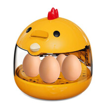 Automatic Eggs Incubator for Hatching 5 Eggs Clear Visibility