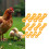 Plastic Bird Leg Fixer 12Pieces For Postures Corrections And 2
