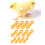 Plastic Bird Leg Fixer 12Pieces For Postures Corrections And 6