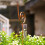 Rain gauge for the garden with snail post 3