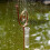 Rain gauge for the garden with snail post 4