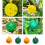 Odorless Insect Catcher For Mosquitoes Gnats Using-Green 4