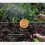 Multifunctional Plant Watering Bottle Rotating Sprayed-Brown 6