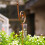 Outdoor rain gauge for lawn 3