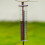 Outdoor rain gauge for lawn 5