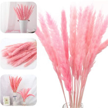 Decoração com capim-dos-pampas seco, faça você mesmo simples para ideias de presentes bonitos que duram além das estações (30 peças, cor
