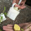 Convenient Molds for Making Green Bean Snacks Beautiful Pastries 7