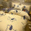 Σετ παπλωμάτων Queen Size από βαμβάκι Aloe Cotton, σετ παπλωμάτων με βοτανικό σχέδιο και 1