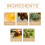 Raum-Aromatherapie-Ätherisches Öl - Warmes Aroma 5